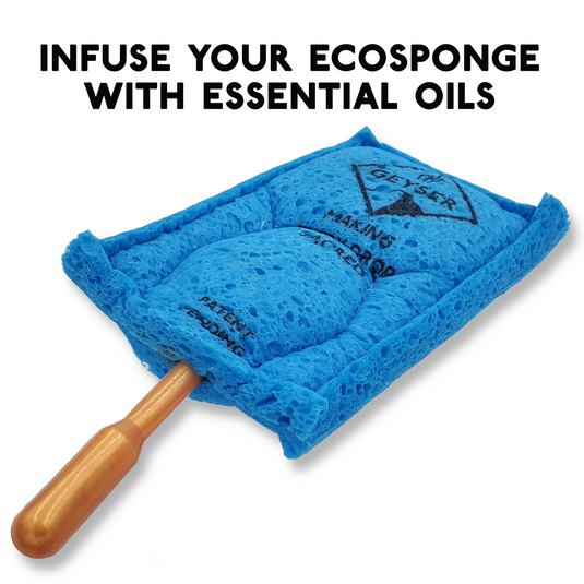 Geyser Ecosponge